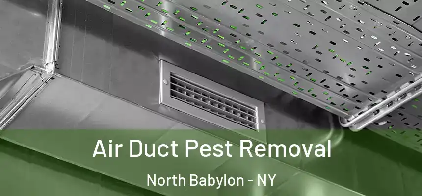  Air Duct Pest Removal North Babylon - NY