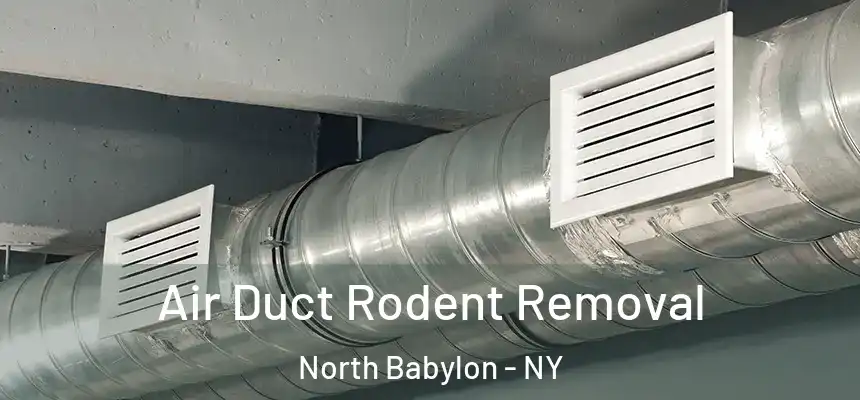  Air Duct Rodent Removal North Babylon - NY