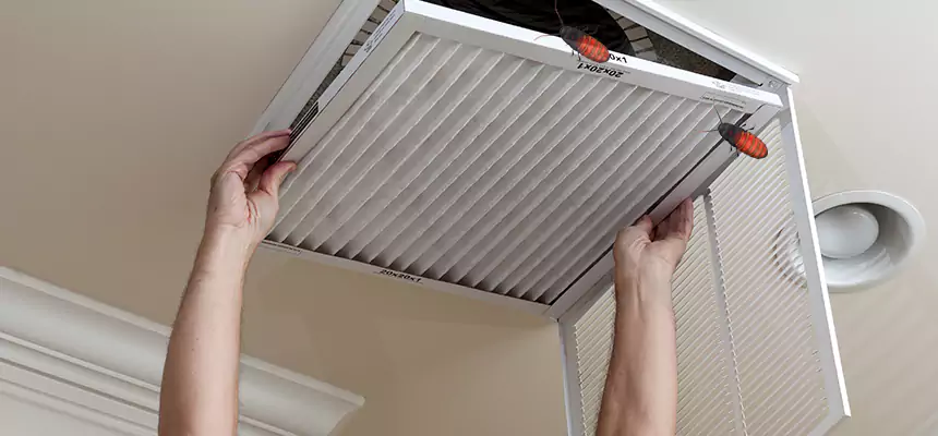 Preventive Cockroach-Proofing for Ducts in North Babylon
