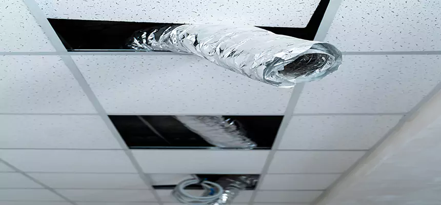 Affordable HVAC Sanitizing After Pest Removal in North Babylon