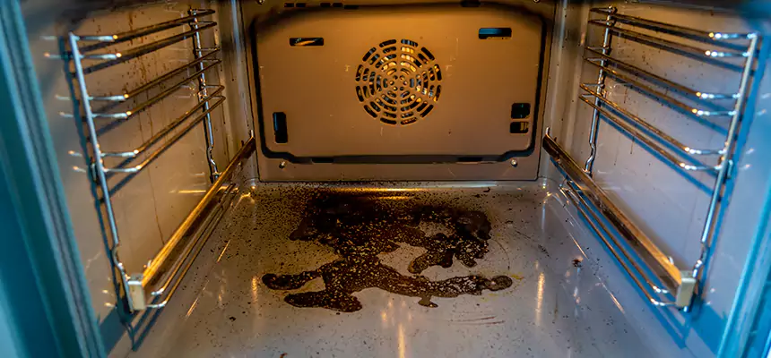 Our Dryer Vent Mold Cleaning Services in North Babylon, NY