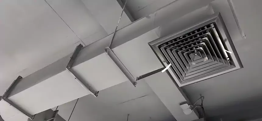 Our Pest Removal From Ducts Services in North Babylon, NY