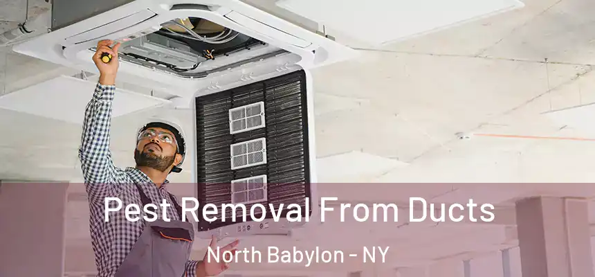  Pest Removal From Ducts North Babylon - NY