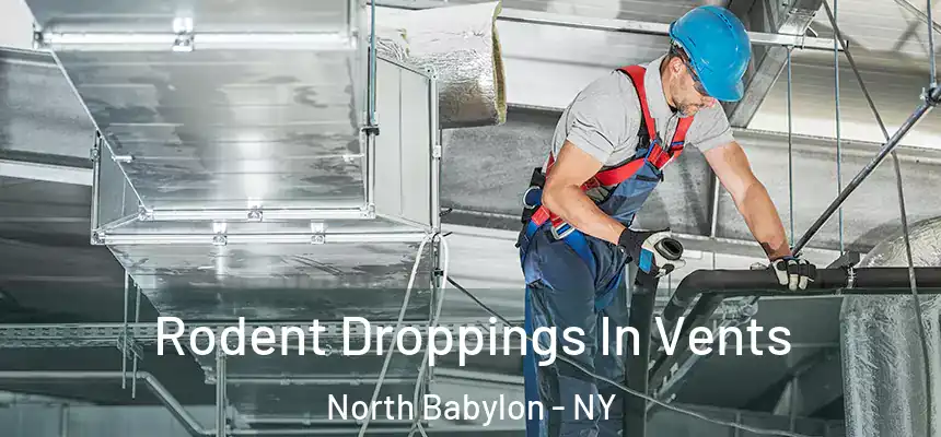  Rodent Droppings In Vents North Babylon - NY